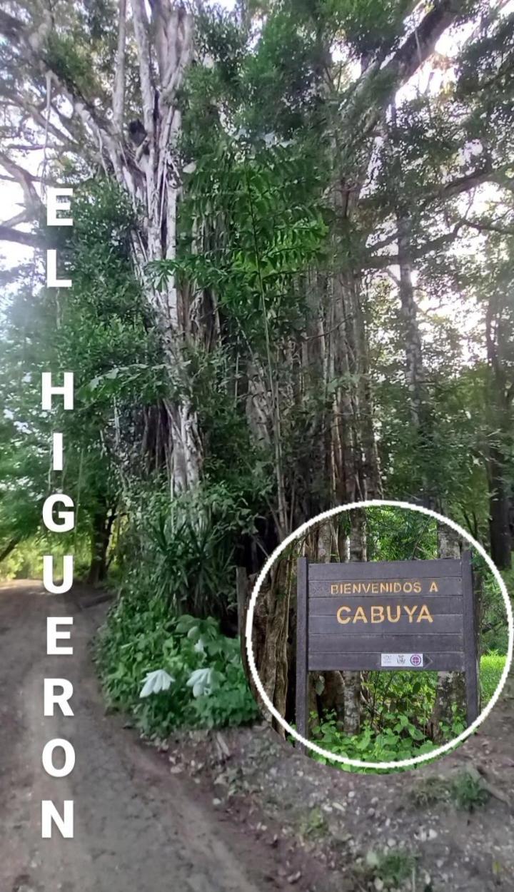 Luz De Estrella Studios Cabuya  Экстерьер фото