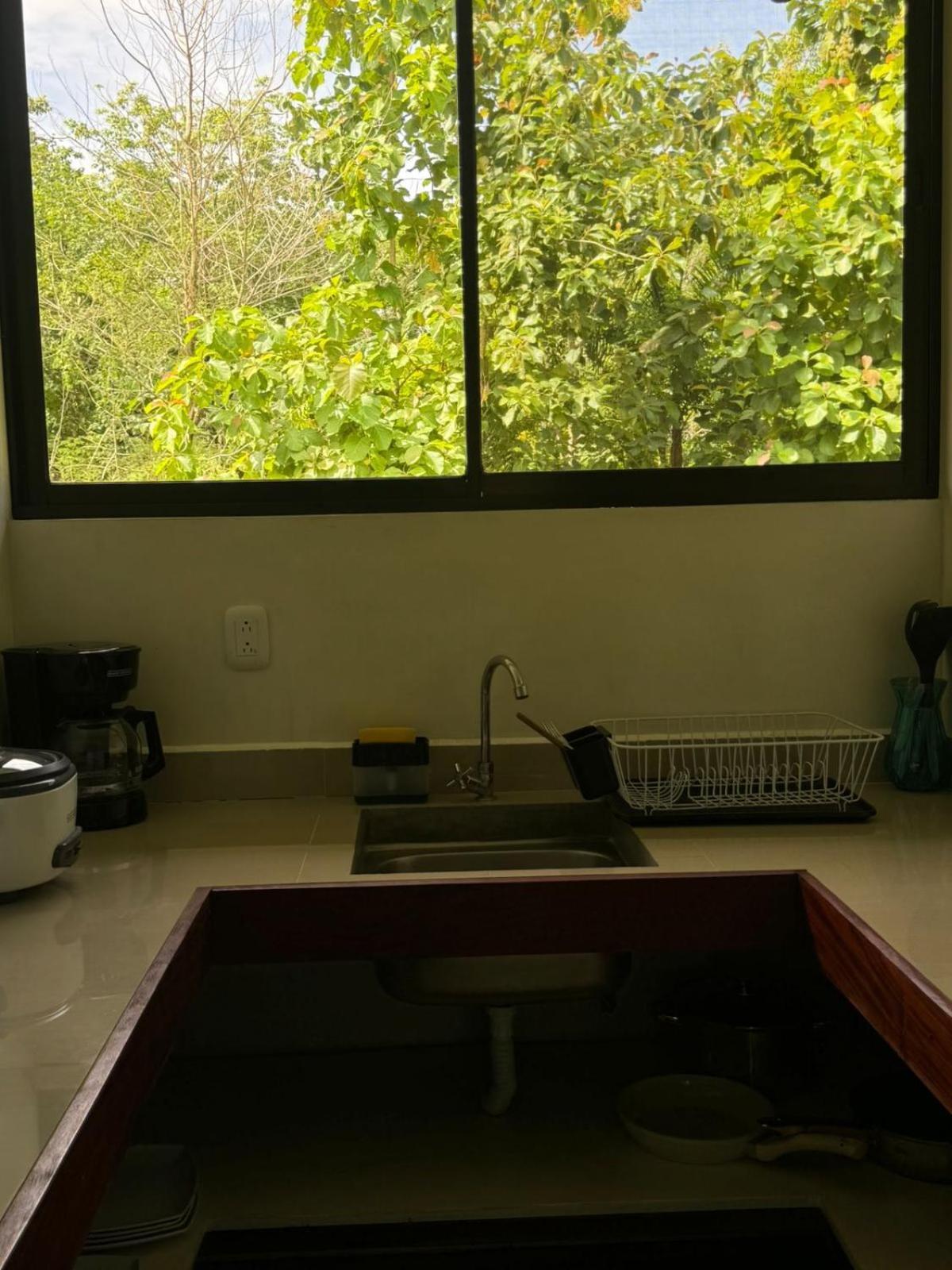 Luz De Estrella Studios Cabuya  Экстерьер фото