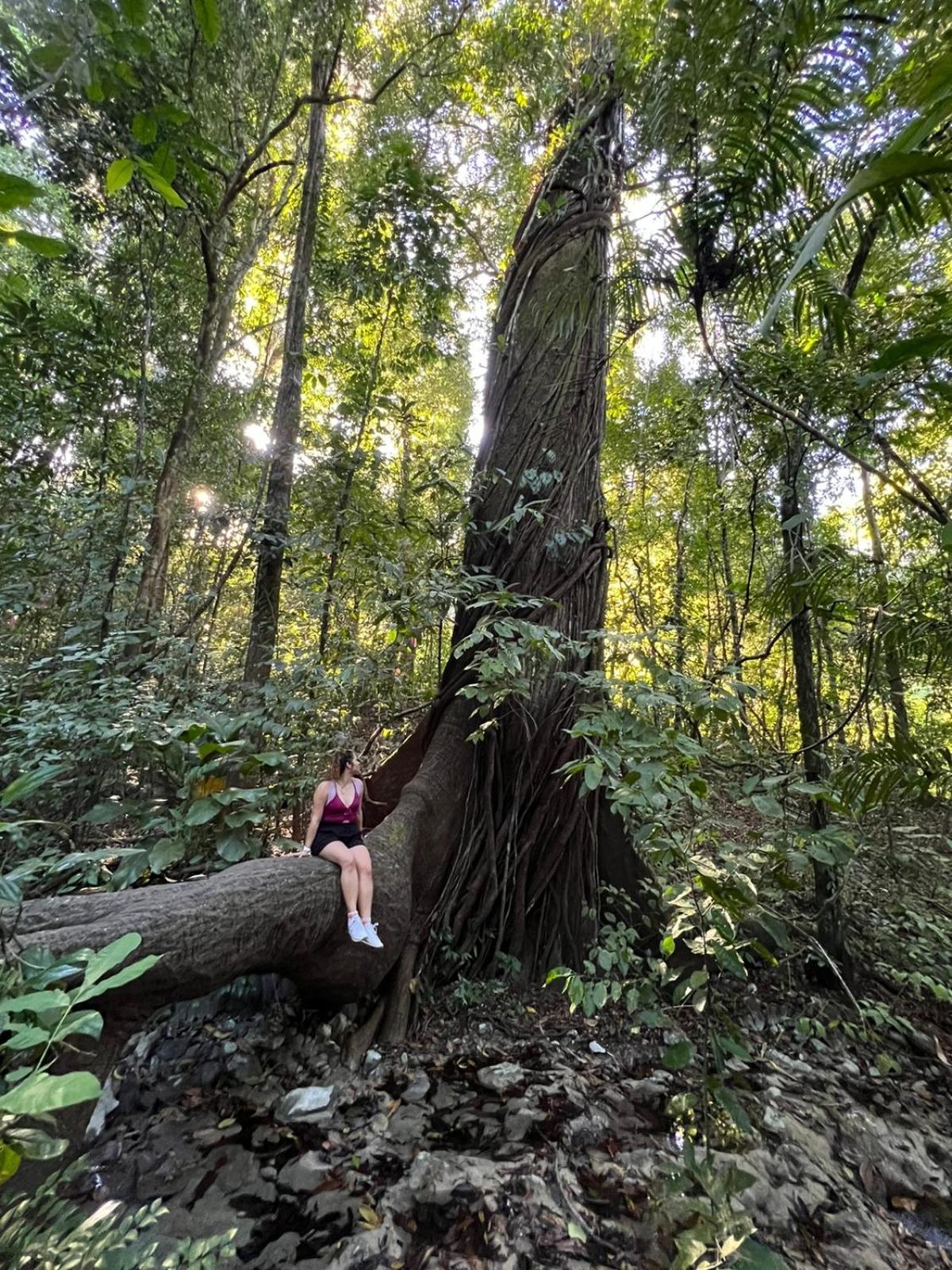 Luz De Estrella Studios Cabuya  Экстерьер фото
